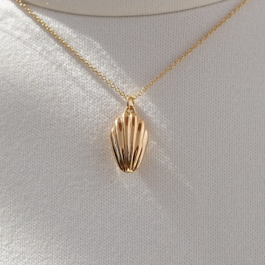 Shell Pendant