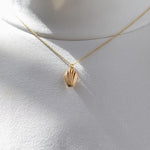 Shell Pendant
