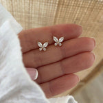 Traya Butterfly Bliss Hamper
